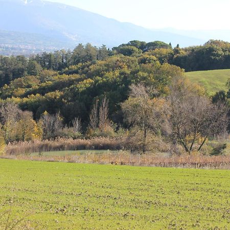 Civitella D'Arna Agriturismo La Ginestrella المظهر الخارجي الصورة