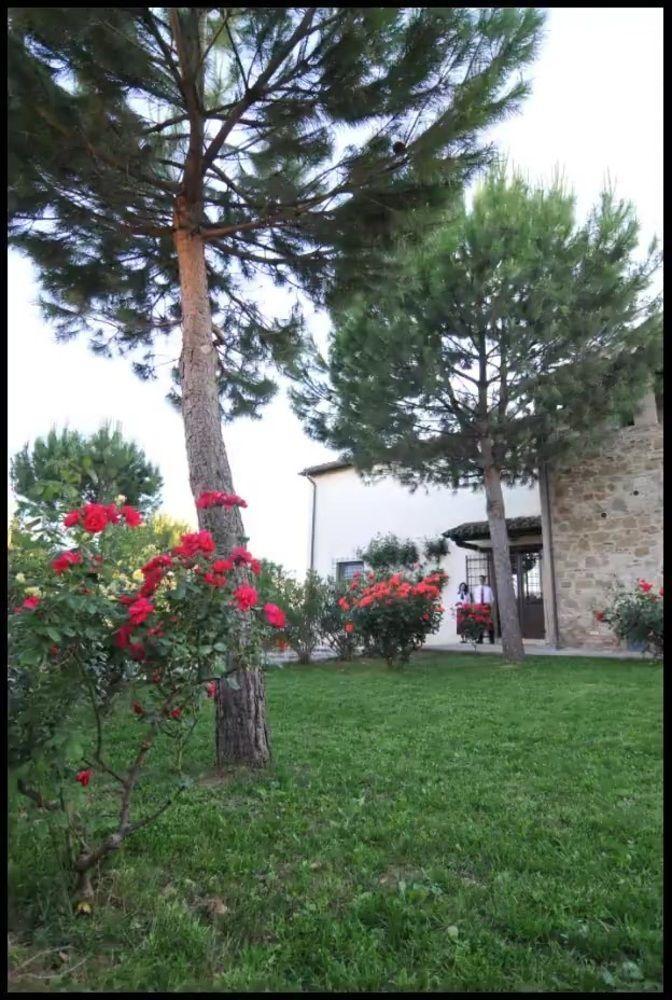Civitella D'Arna Agriturismo La Ginestrella المظهر الخارجي الصورة