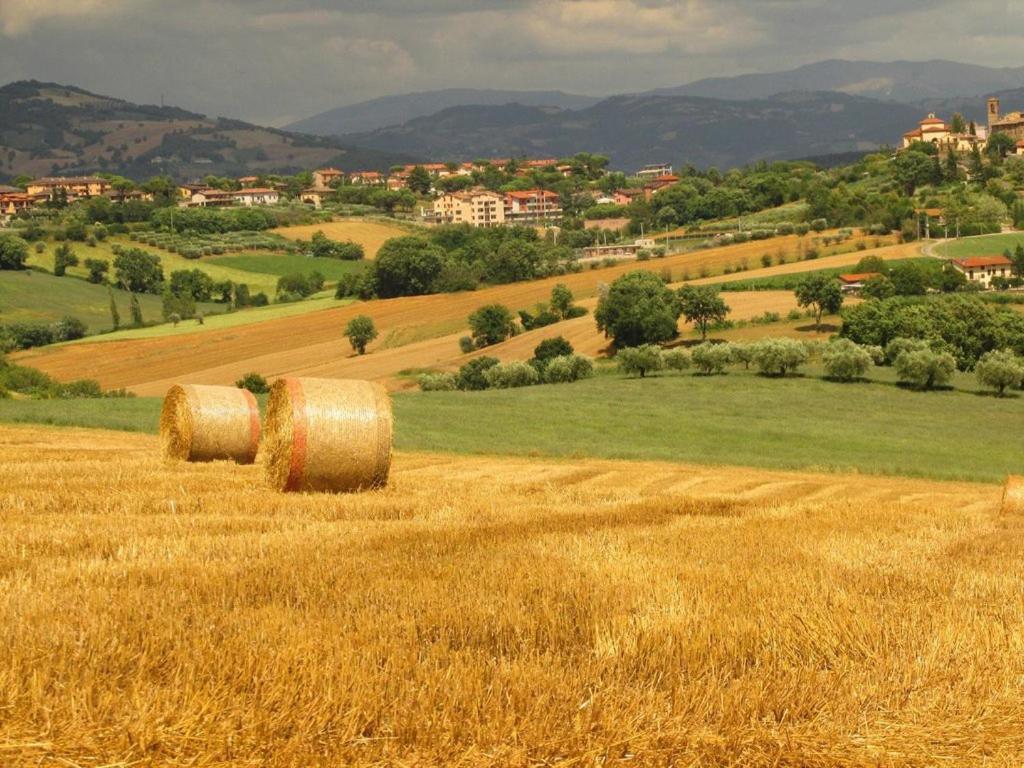 Civitella D'Arna Agriturismo La Ginestrella المظهر الخارجي الصورة